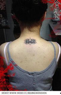 欧美纹身身材图片大全,时尚与个性的完美融合